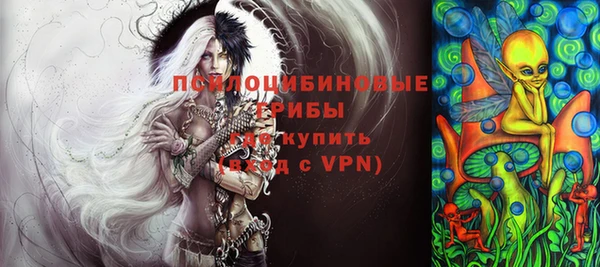 PSILOCYBIN Новосибирск