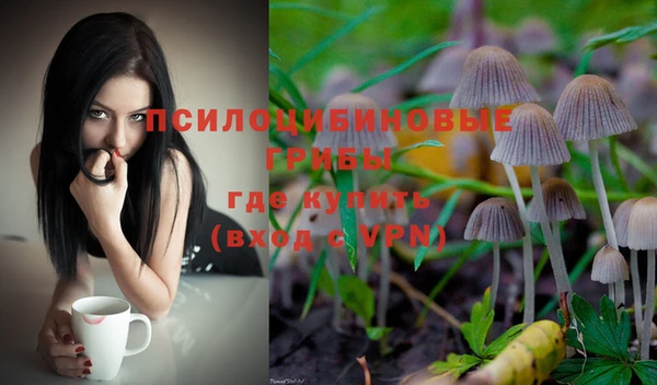 шишки Тольятти