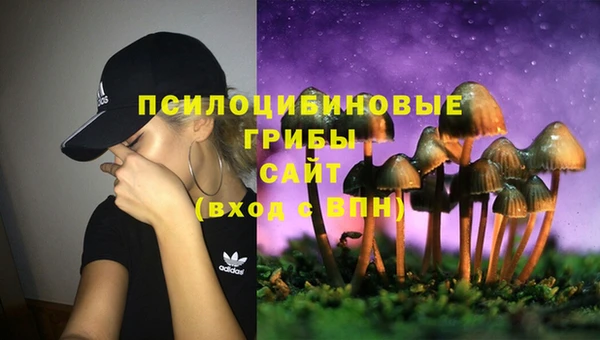 PSILOCYBIN Новосибирск