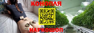 гидропоника Дубна