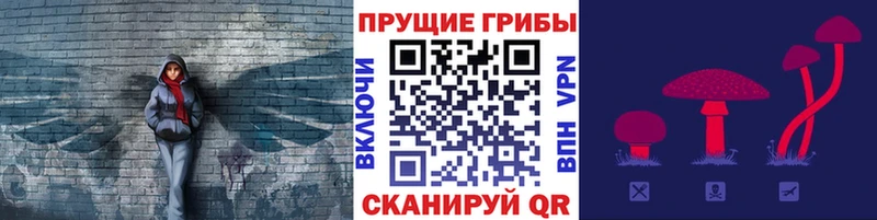 Псилоцибиновые грибы мухоморы  маркетплейс какой сайт  MEGA ссылка  Мурманск  где найти наркотики 